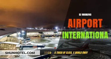 Is Vnukovo Airport International? Exploring Moscow's Key Travel Hub