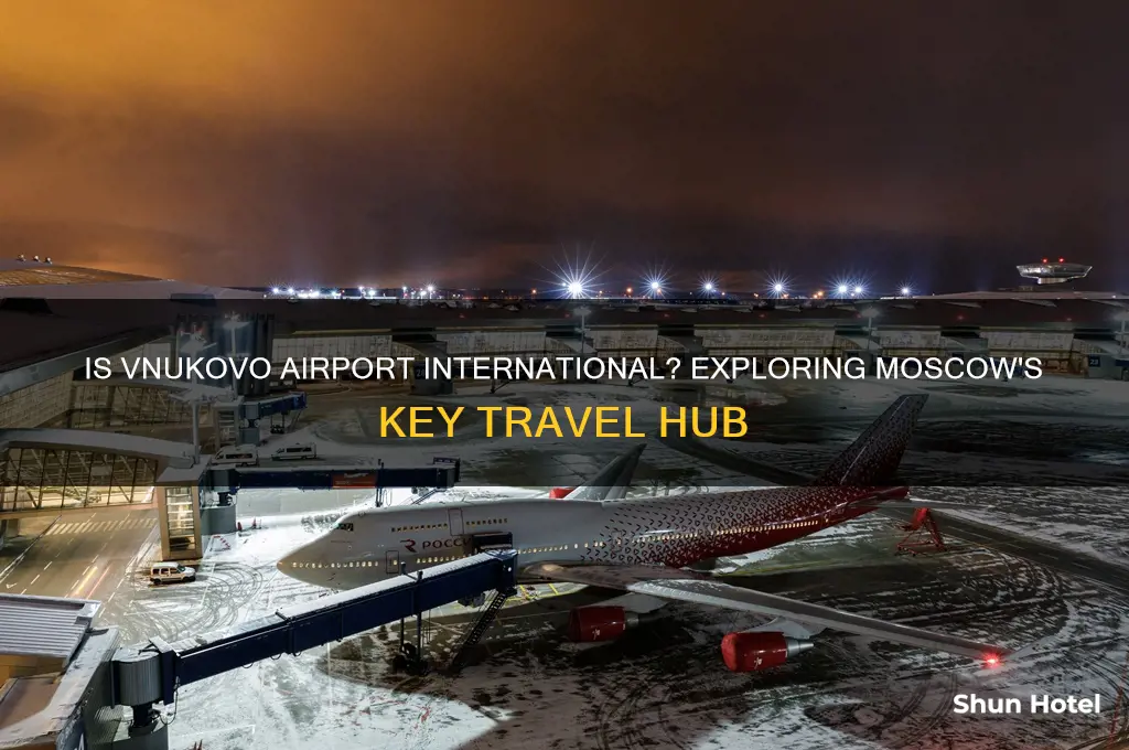 is vnukovo airport international