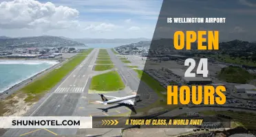Is Wellington Airport Open 24/7? Operational Hours Explained