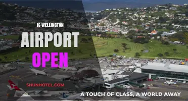 Is Wellington Airport Open? Current Status and Travel Updates