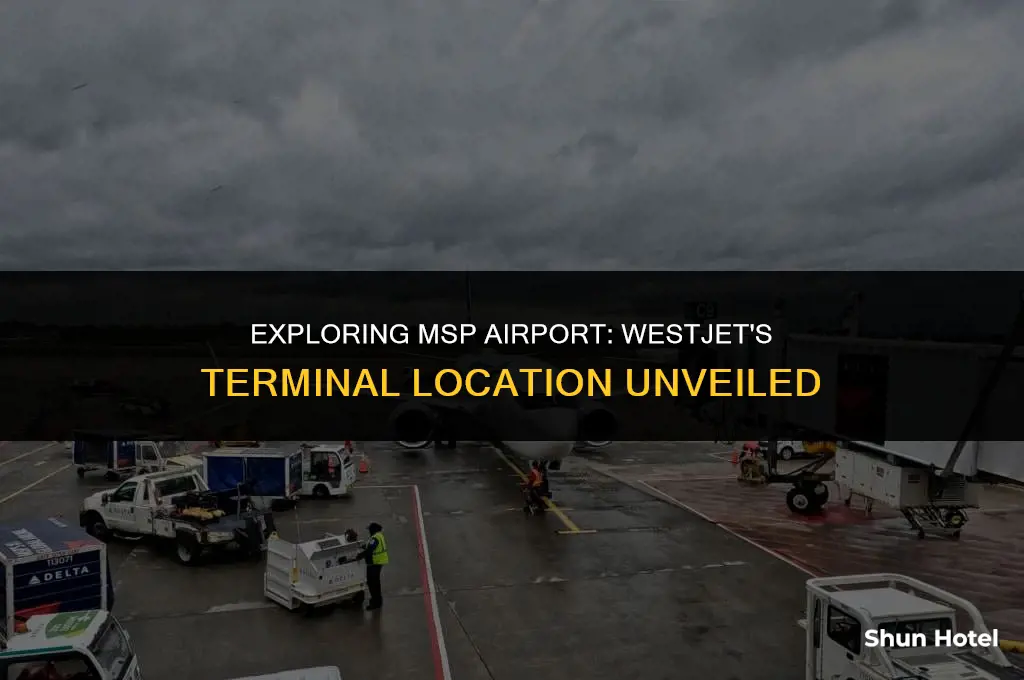is westjet in terminal 1 in msp airport