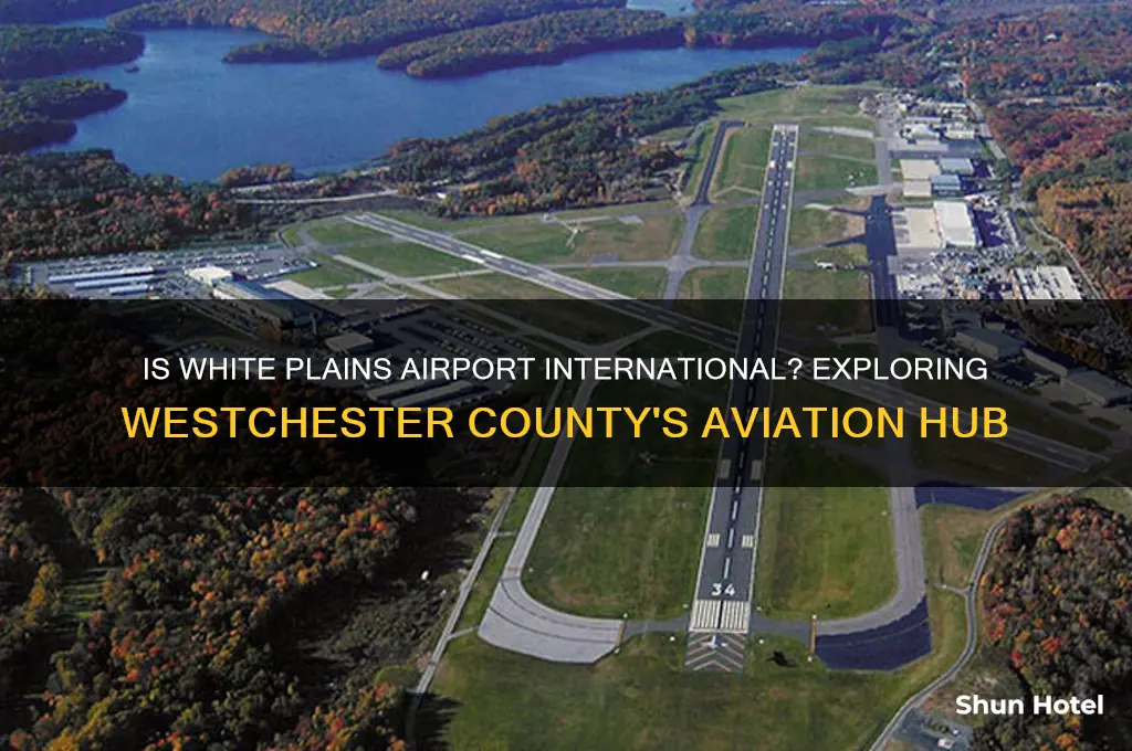 is white plains airport international