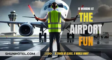 Working at the Airport: Fun or Not?