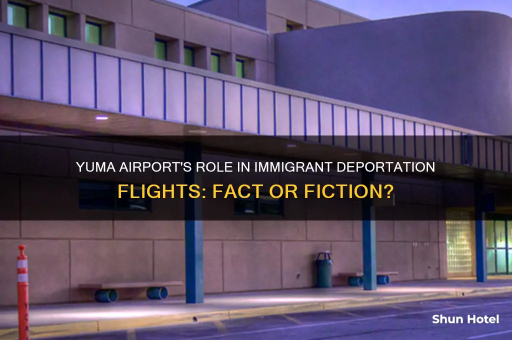 is yuma airport flying out immigrants