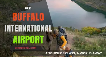 My Unexpected Adventure at Buffalo International Airport: A Travel Tale