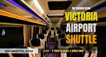 Shuttle Services: Reina Victoria Airport to Madrid City Center