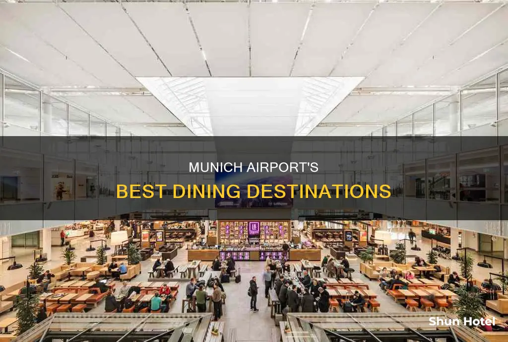 must eat in munich germany airport