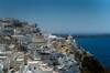 resorts options availability