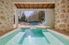 resorts types features