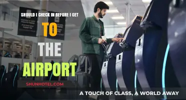 Should You Check-In Before Arriving at the Airport? Pros and Cons