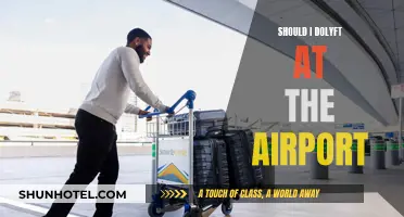 Dolyft Airport Service: Should You Use It?