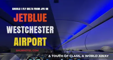 Delta from JFK vs. JetBlue Westchester: Which Airport Wins?