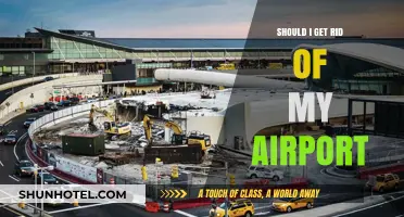 Should You Ditch Your Airport? Pros, Cons, and Alternatives Explained