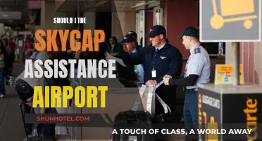 Why Skycap Assistance Elevates Your Airport Experience