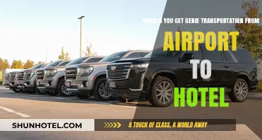 Genie Transportation: Airport to Hotel Convenience or Costly Choice?