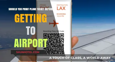 Print or Go Digital: Should You Print Your Plane Ticket Before the Airport?