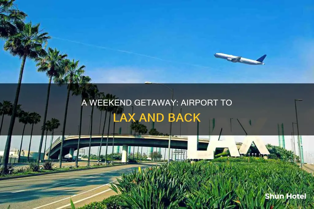was airport to lax round trip