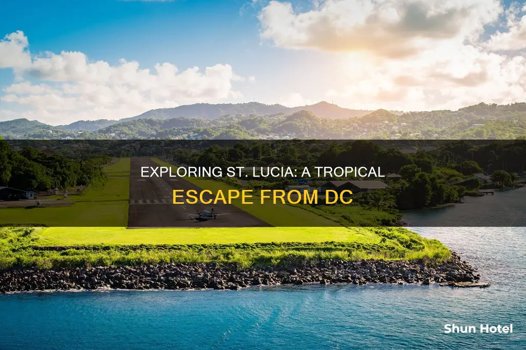 was dc airports to st lucia
