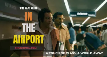 Papo's Airport Tragedy: Was He Killed?