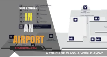 Navigating the Airport Terminal: Your Comprehensive Guide