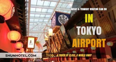 Exploring Tokyo Airport: A Transit Visitor's Guide