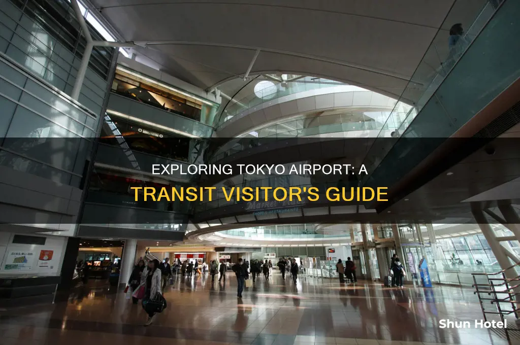 what a transit visitor can do in tokyo airport