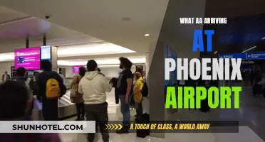 A Traveler's Guide to Phoenix Airport Arrivals