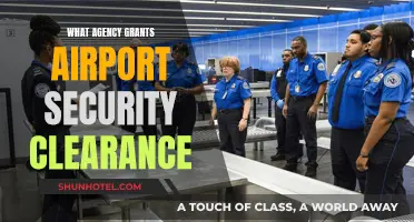 Who Clears Airport Security? TSA and Other Agencies