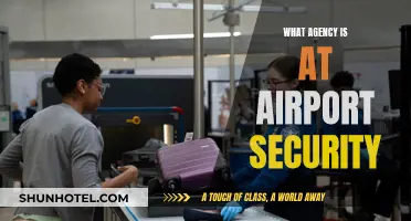 Who's in Charge? Airport Security and Their Governing Agencies