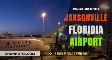 Airlines Serving Jacksonville, Florida: Your Comprehensive Guide to JAX Flights