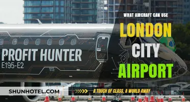 Aircraft Compatible with London City Airport's Unique Runway