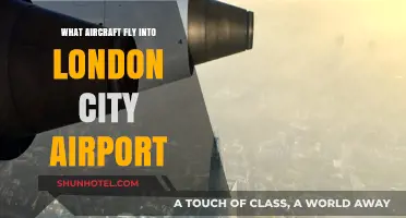 Aircraft Serving London City Airport: A Comprehensive Guide to Flights