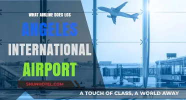Which Airlines Operate at Los Angeles International Airport?