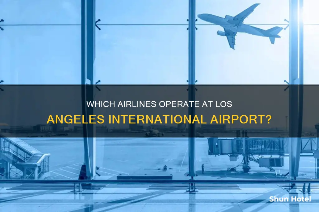 what airline does los angeles international airport