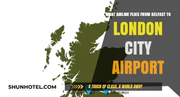 Belfast to London City Airport: Which Airline Offers Direct Flights?