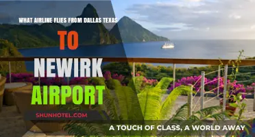 Dallas to Newark: Which Airlines Offer Direct Flights?
