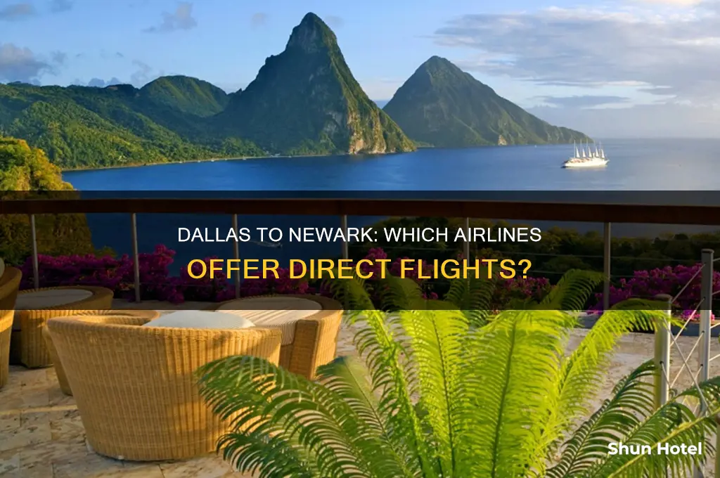 what airline flies from dallas texas to newirk airport
