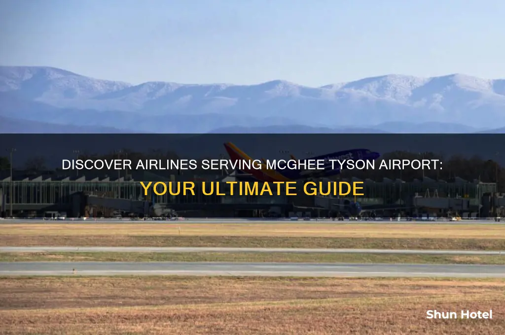 what airline flies into mcghee tyson airport