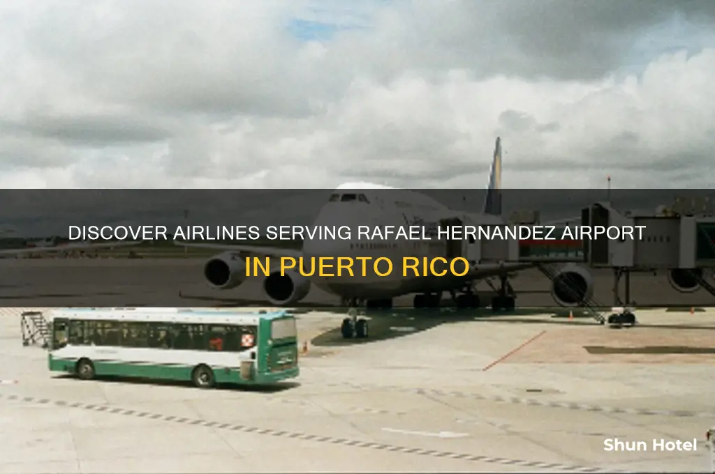 what airline flies into rafael hernandez airport