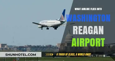 Which Airlines Service Washington Reagan Airport: A Comprehensive Guide