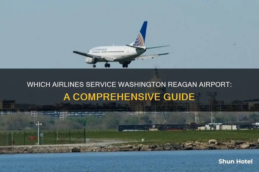 what airline flies into washington reagan airport
