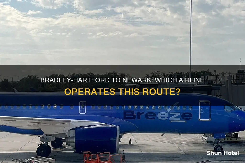 what airline flies out of bradley-hartford to newark airport