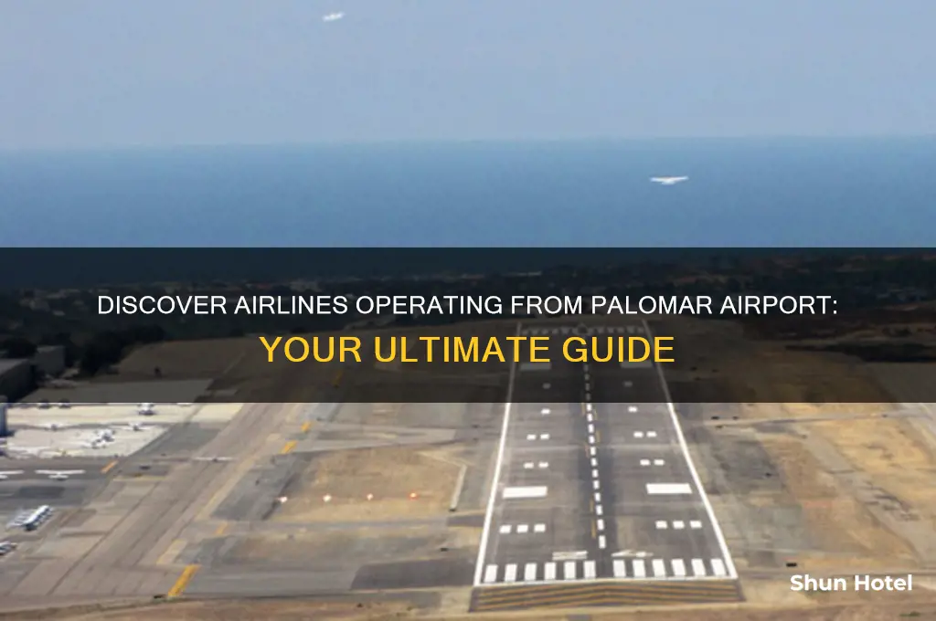 what airline flies out of palomar airport