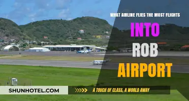 Which Airline Dominates the Most Flights to Rob Airport?