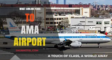 Discover Airlines Serving AMA Airport: Your Ultimate Travel Guide