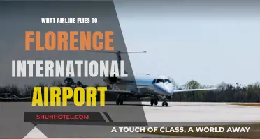 Discover Airlines Serving Florence International Airport: Your Travel Guide