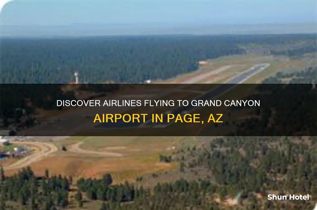 what airline flies to grand canyon airport in page az