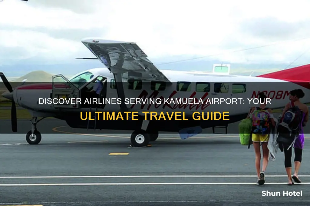 what airline flies to kamuela airport