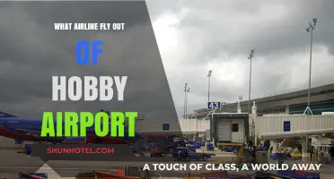 Airlines Departing from Hobby Airport: Your Comprehensive Guide to Carriers