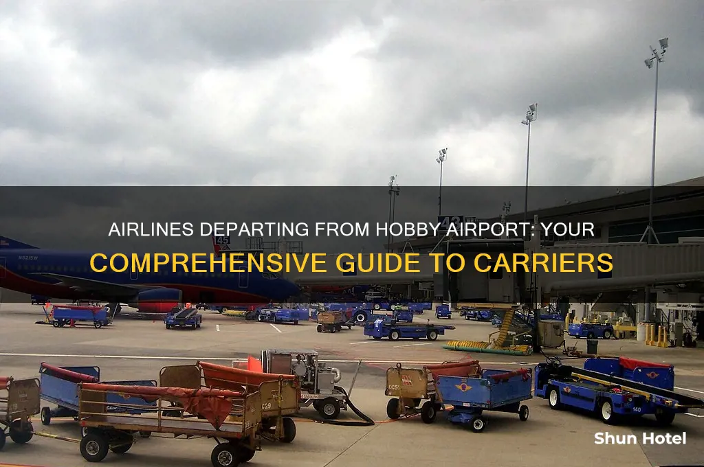 what airline fly out of hobby airport